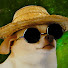 VUgOwRCq-2I-channel-avatar-IJCIFIY