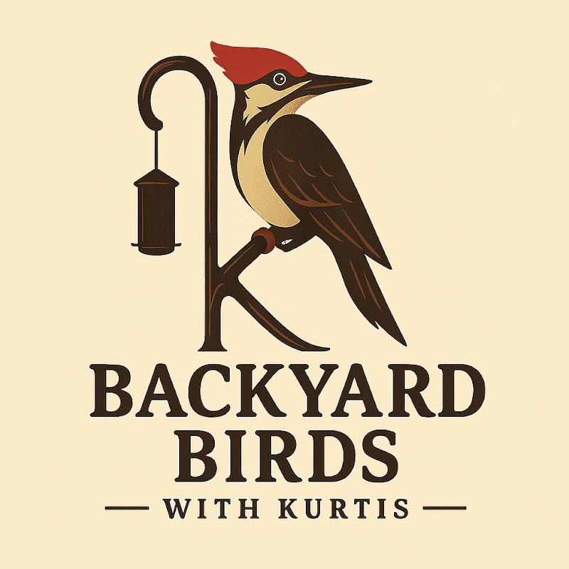 Backyard Birds with Kurtis