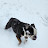 @johnwick8429 Avatar