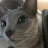 JIa12Nllv8Y-channel-avatar-貧脚くーさんの趣味チャンネル