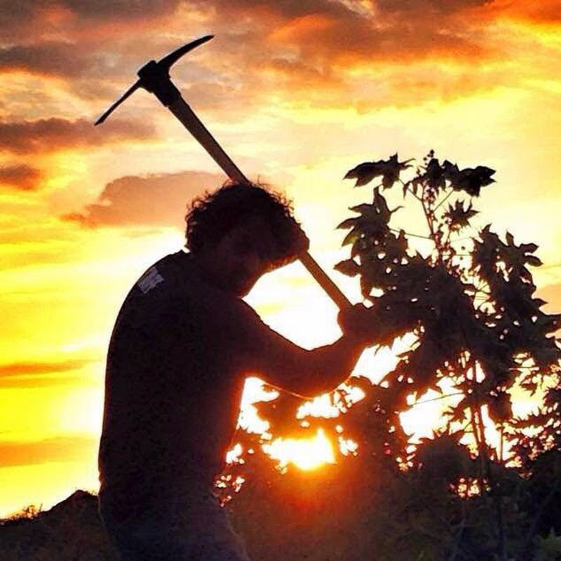 The Crystal Collector®