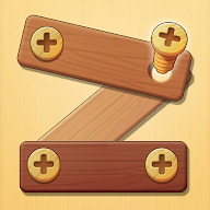 Screw Puzzle: Nut and Bolt icon