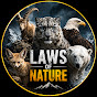 Laws Of Nature