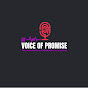 At Voice of Promise TV logo