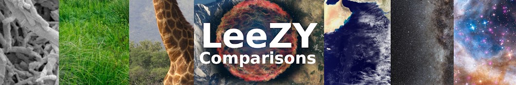 LeeZY Comparisons ইউটিউব চ্যানেল অ্যাভাটার
