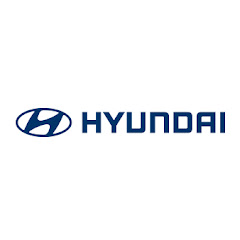 HyundaiIndia net worth