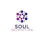 Soul Decryption logo