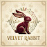JFv_PUcWQHI-channel-avatar-Velvet Rabbit