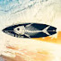 kTCJdPzSRpk-channel-avatar-Carcaça de Peixe