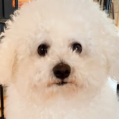 ADHD・らくらく雪すべーるチャンネル