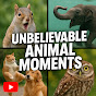 Unbelievable Animal Moments logo