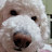 @행복한-l4w
