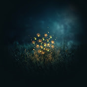 Nightfield