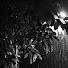 HgVeIVt3YjY-channel-avatar-The Rainroom 