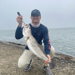 Tai H