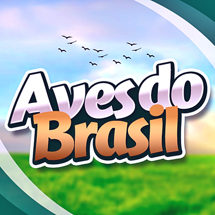Aves do Brasil OFICIAL Avatar canale YouTube 