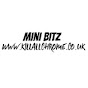 Kill All Chrome - Mini Bitz