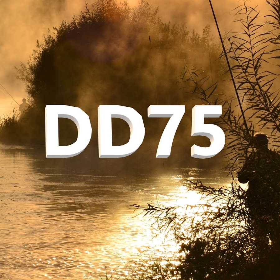DD75 YouTube channel avatar