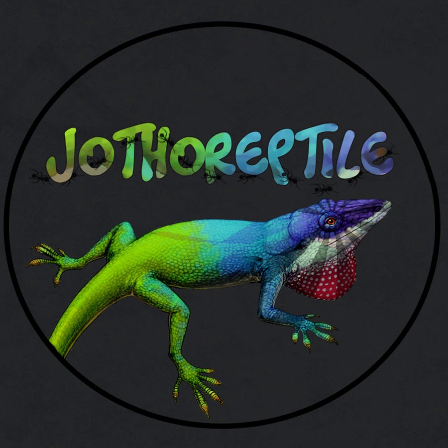 JothoReptile Avatar canale YouTube 