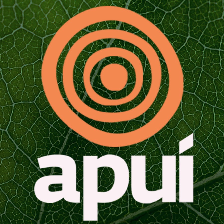 ApuÃ­ Produtora Digital YouTube channel avatar