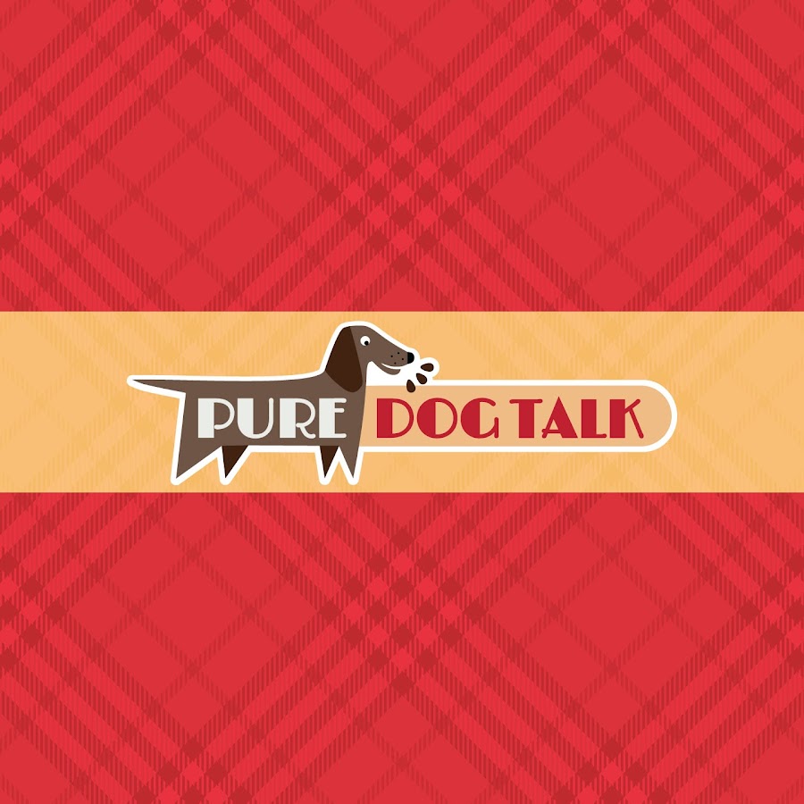 Pure Dog Talk YouTube kanalı avatarı