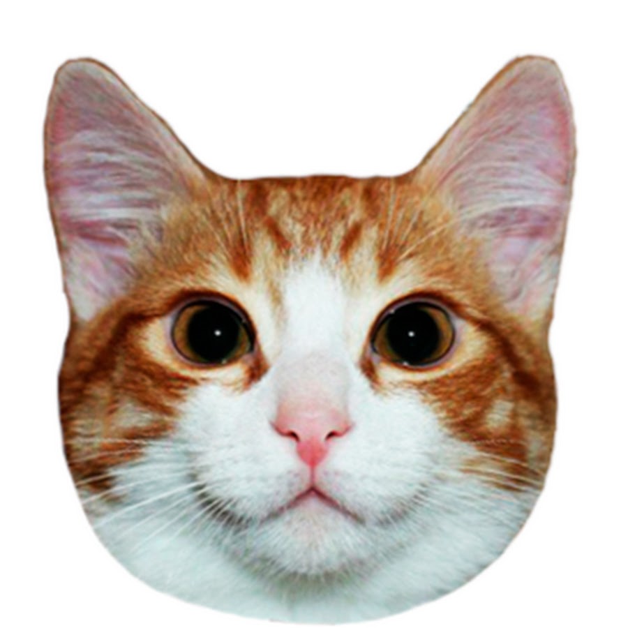 RED FAT CAT YouTube-Kanal-Avatar
