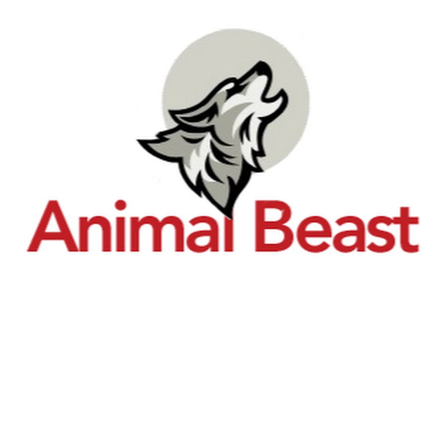 Animal Beast رمز قناة اليوتيوب