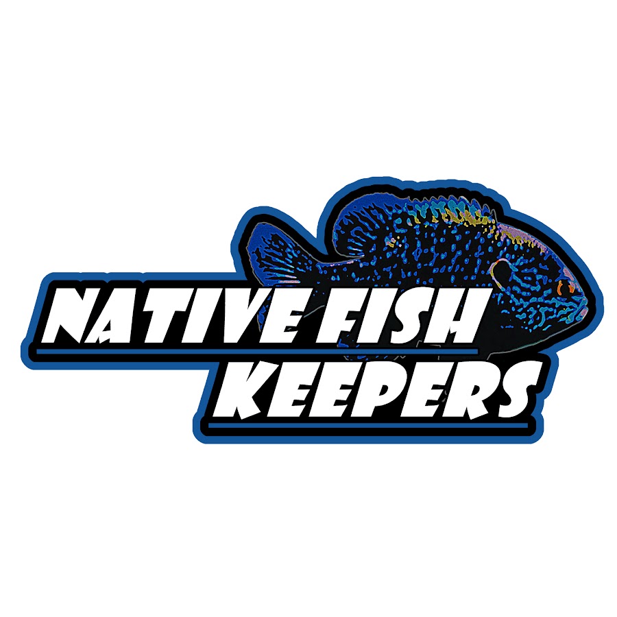 Native Fish Keepers यूट्यूब चैनल अवतार