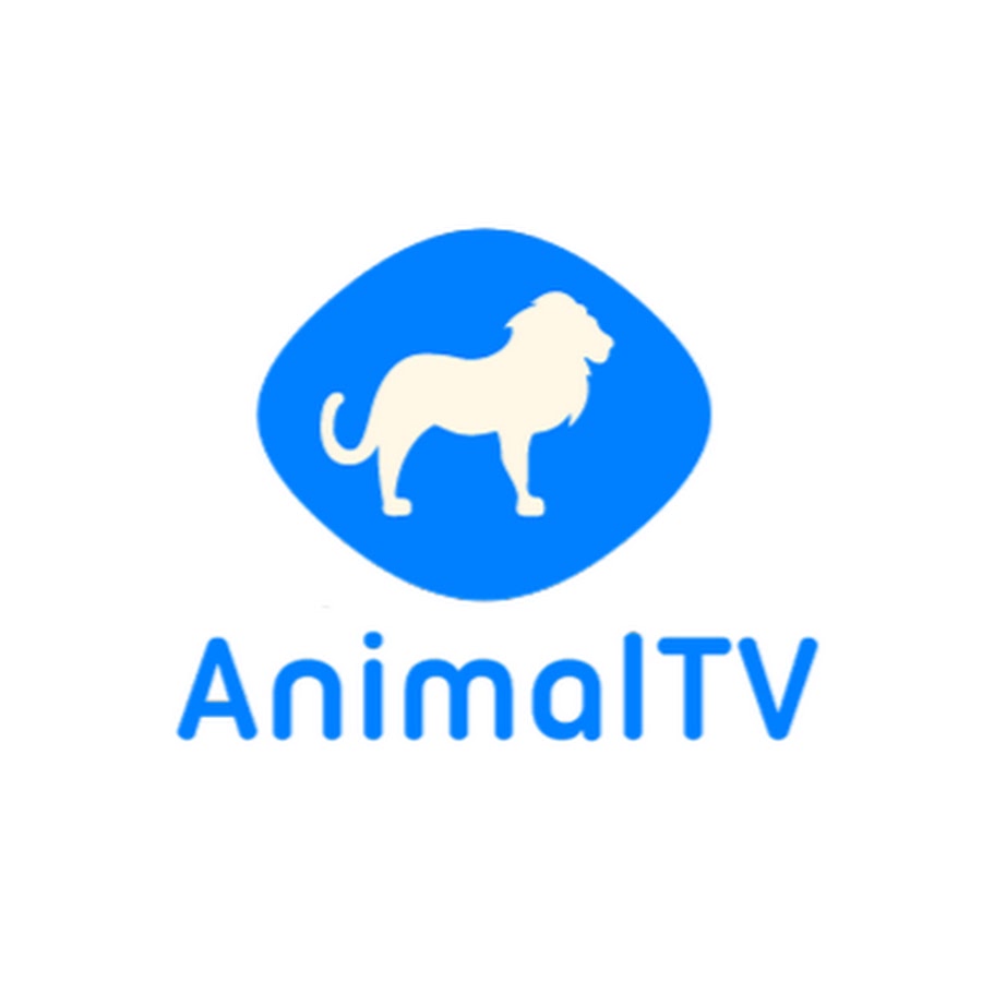 AnimalTV Аватар канала YouTube