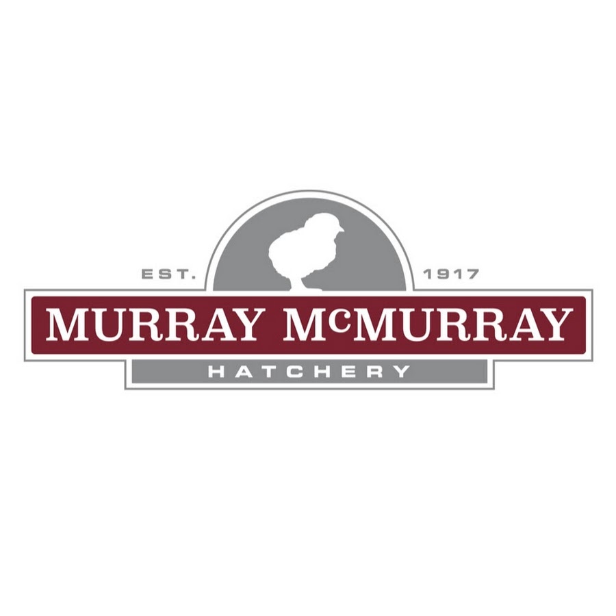 Murray McMurray Hatchery YouTube channel avatar