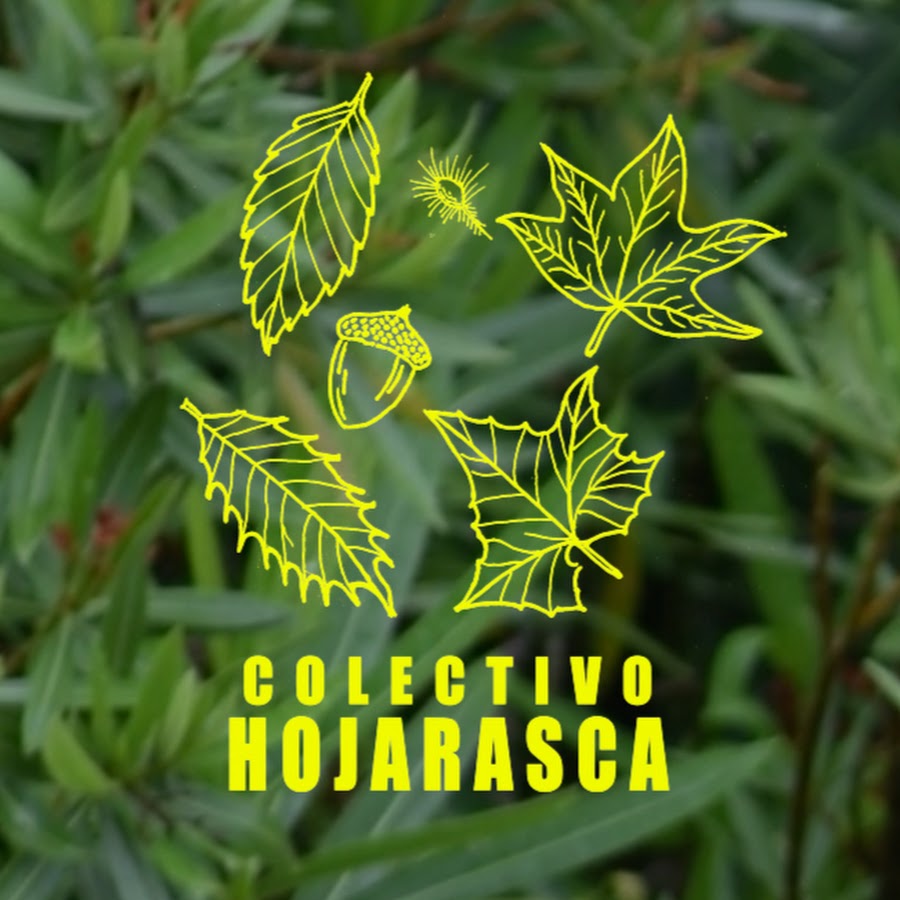 Colectivo Hojarasca YouTube channel avatar