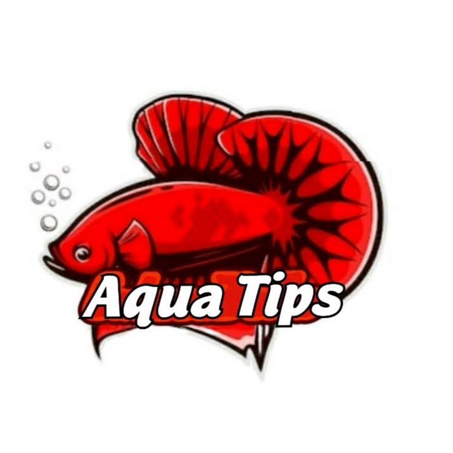 Aqua Tips Awatar kanału YouTube