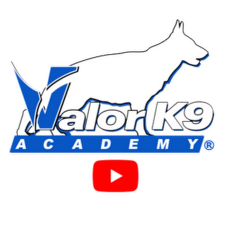 ValorK9Academy YouTube 频道头像