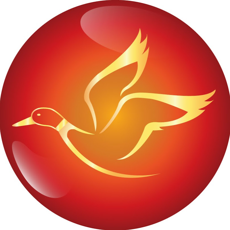 vịt trời yên thế - 網紅的藏寶箱 