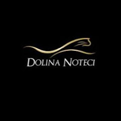 Dolina Noteci