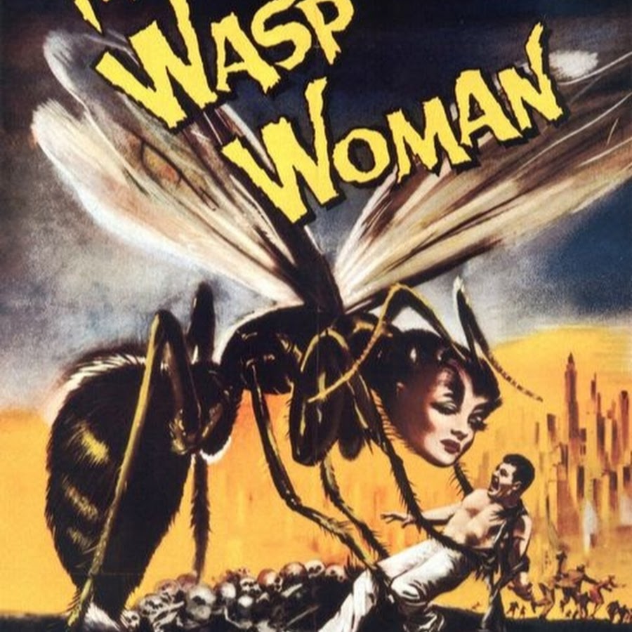 waspwoman11 رمز قناة اليوتيوب