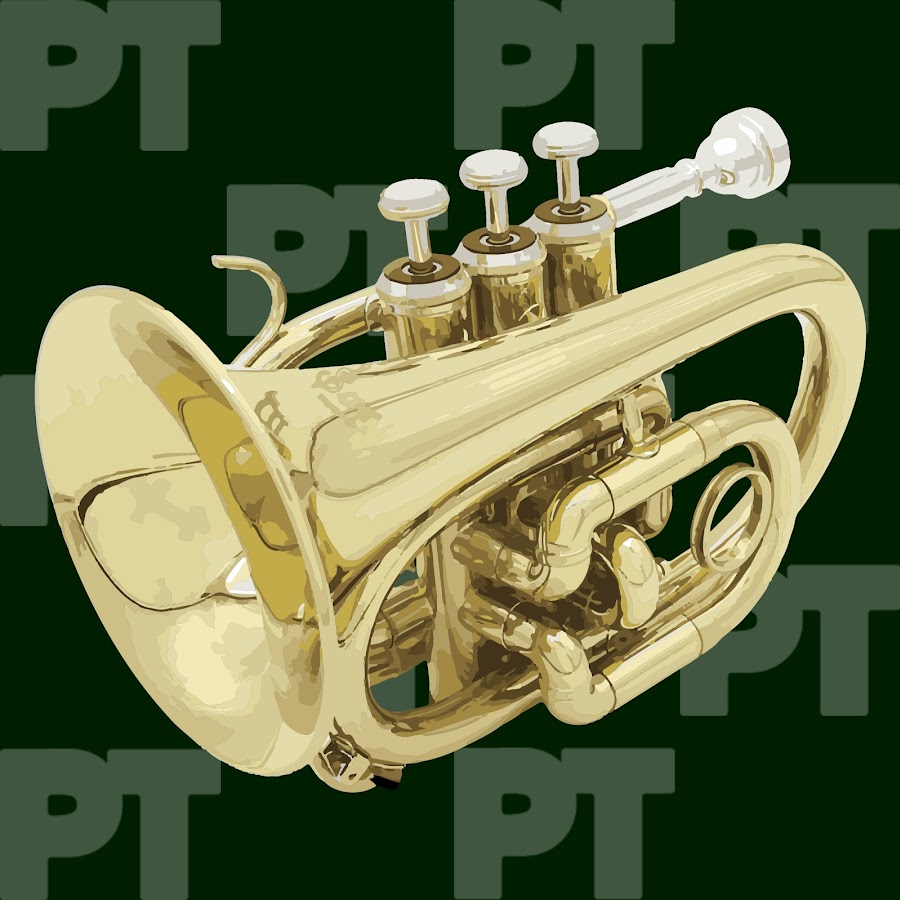 Paranoid Trumpet YouTube channel avatar