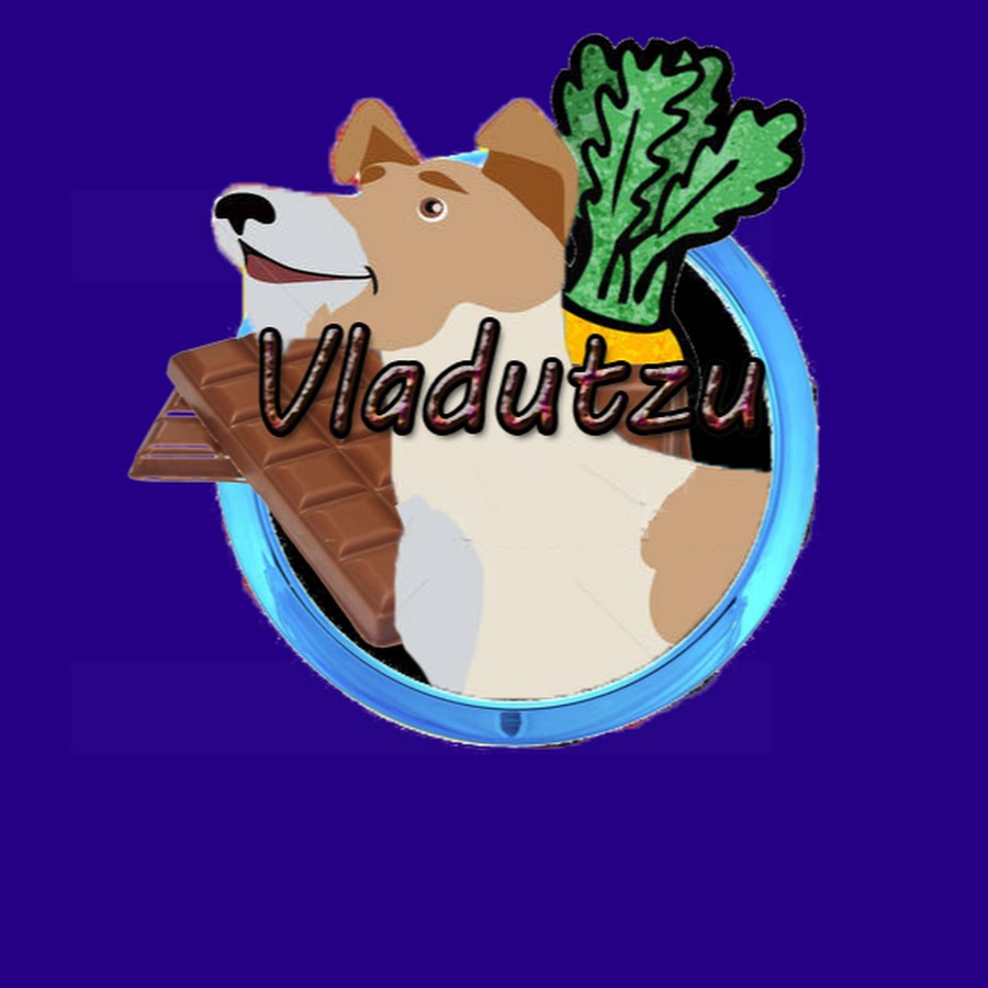 VladHex YouTube channel avatar