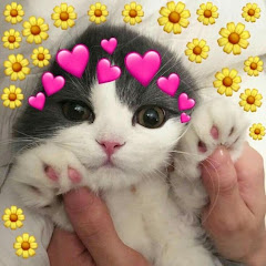 Truskawka