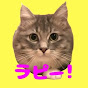 ラフィといっしょ! Siberian cat Luffy の動画、YouTube動画。