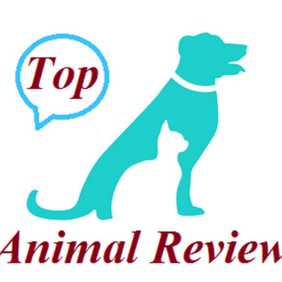 Animal Review YouTube channel avatar
