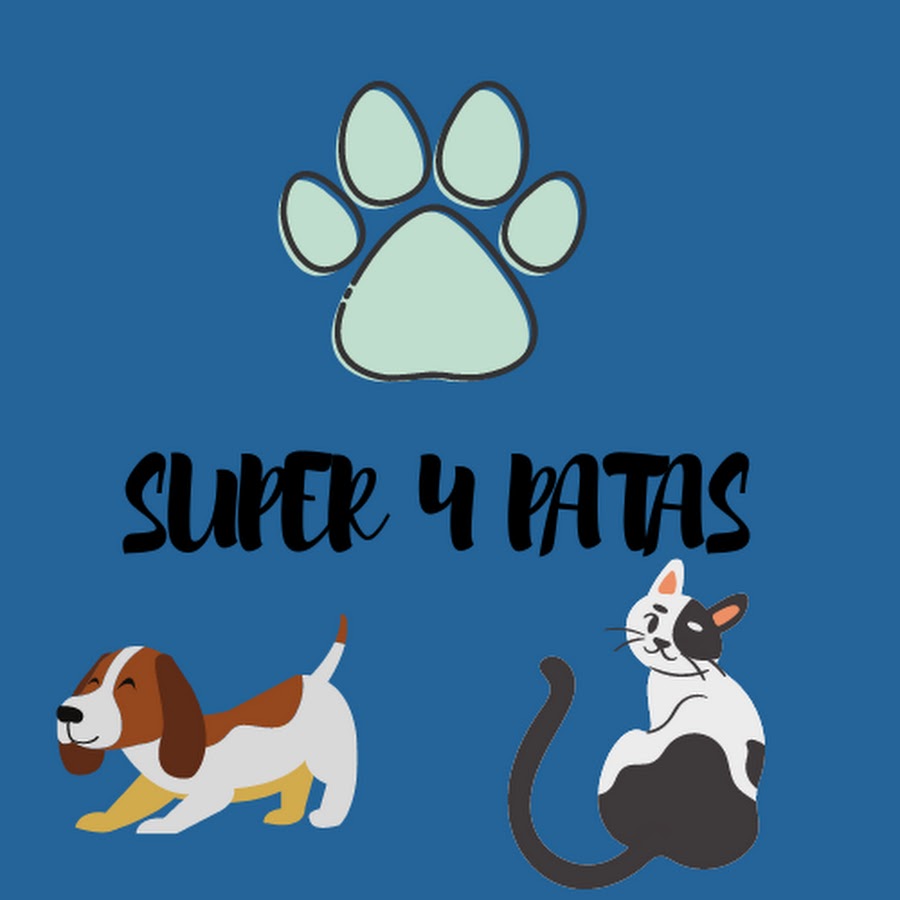 Super 4 Patas YouTube channel avatar