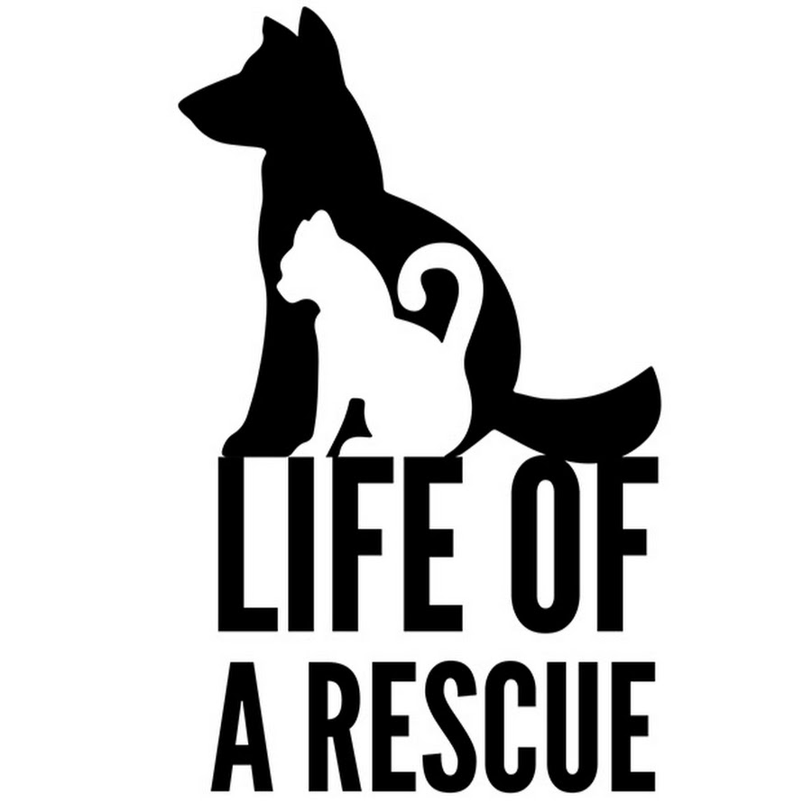 Life of a Rescue Awatar kanału YouTube