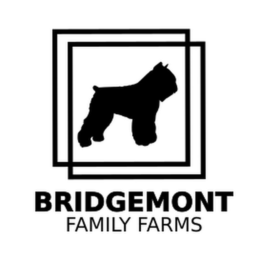 Bridgemont Family Farms ইউটিউব চ্যানেল অ্যাভাটার