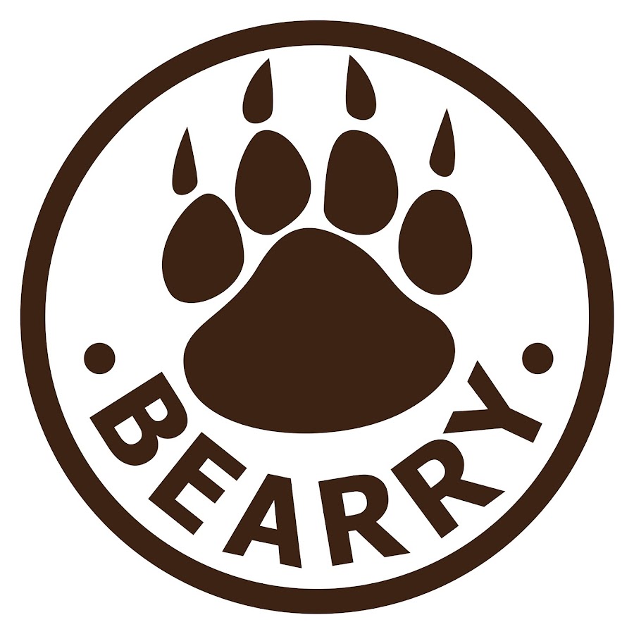 Bearry Channel YouTube channel avatar