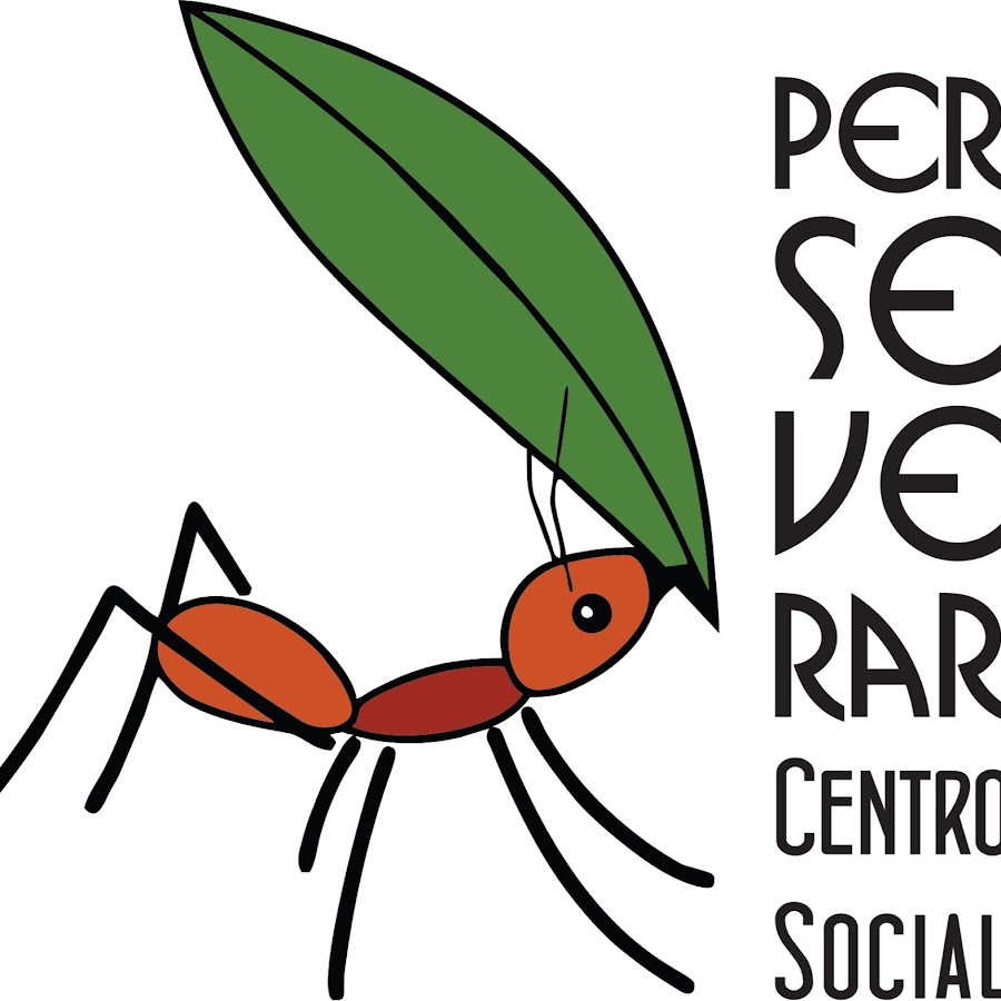 ONG Perseverar Centro Social Awatar kanału YouTube