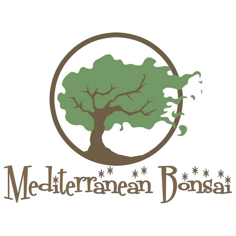 Mediterranean Bonsai YouTube channel avatar