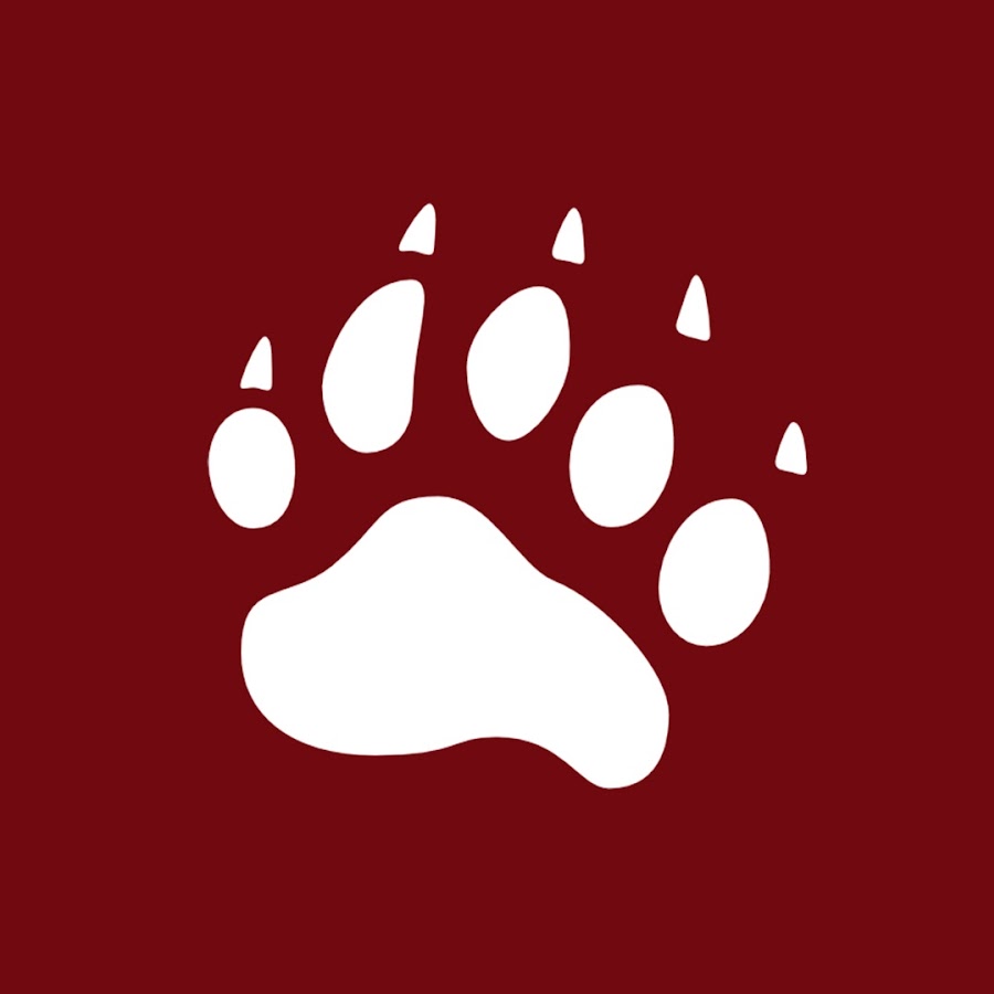 Big Bear YouTube channel avatar