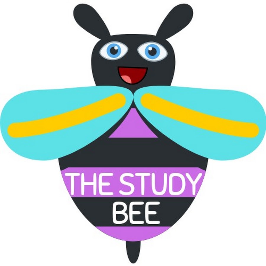 The StudyBee