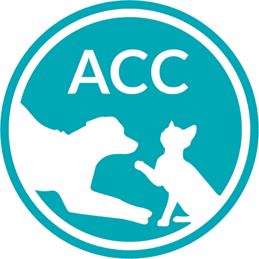 ACC NYC YouTube channel avatar